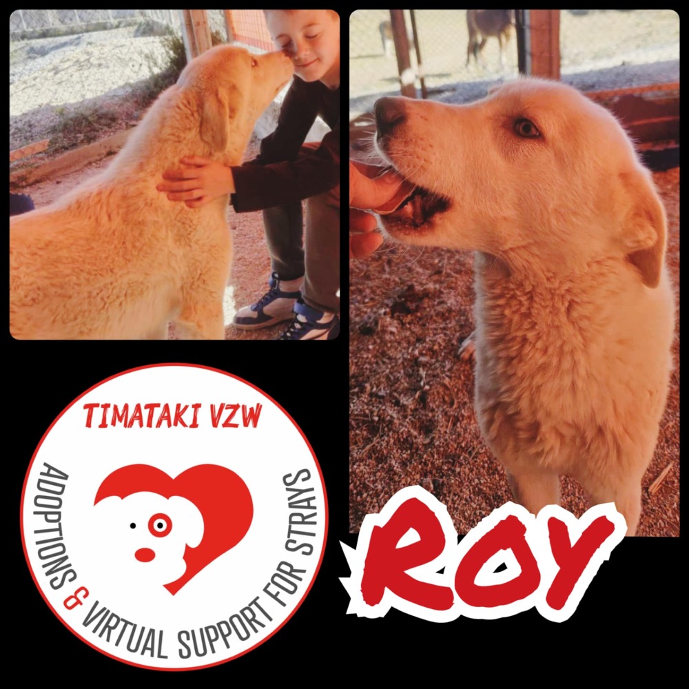 Roy