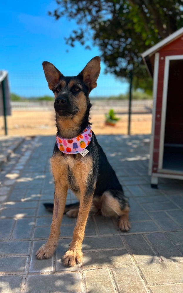 Greta