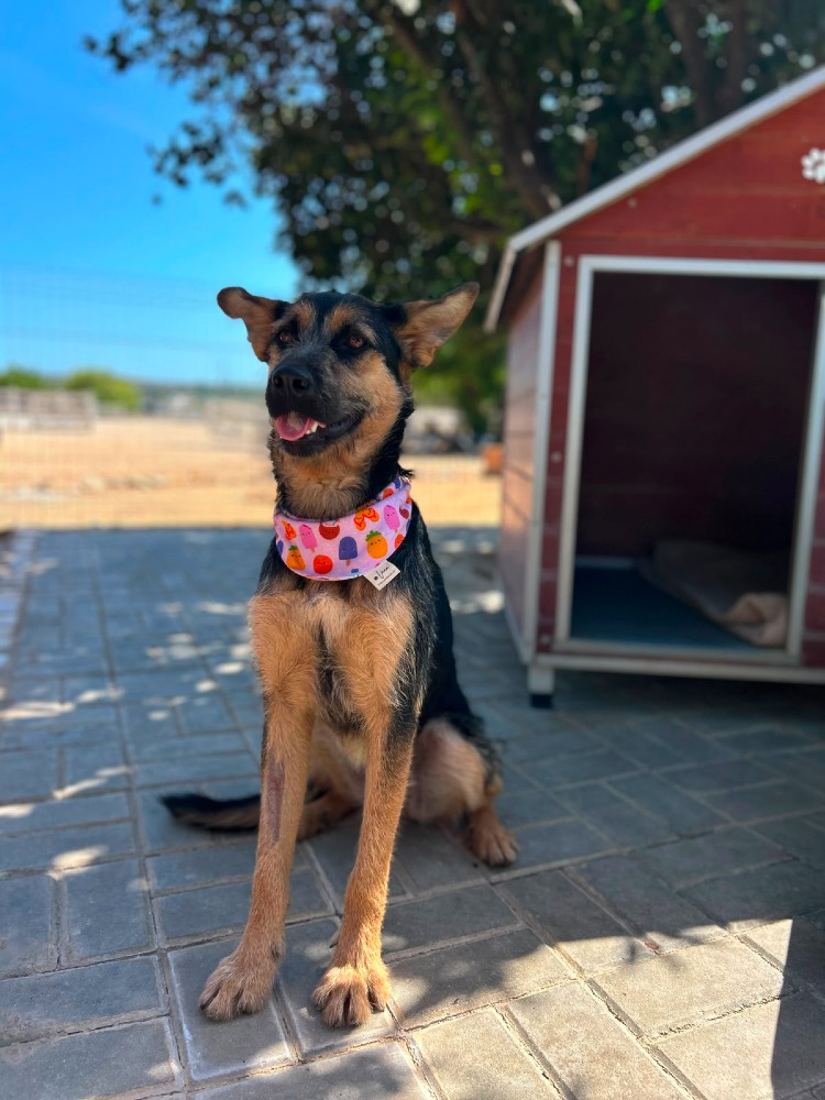 Greta