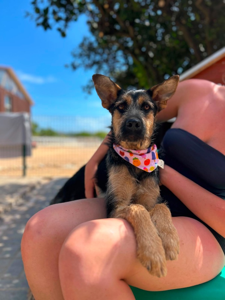 Greta