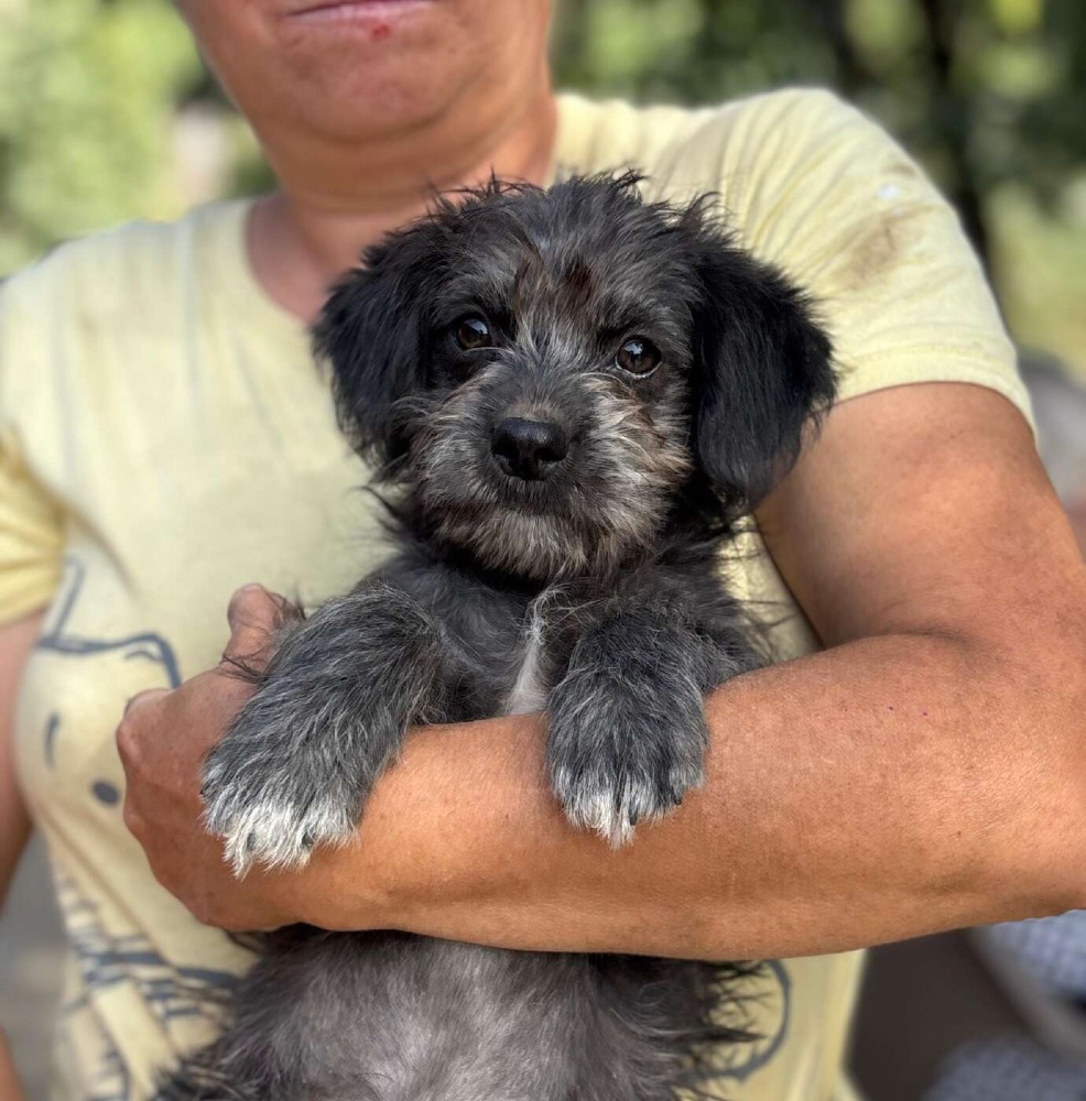 Luna