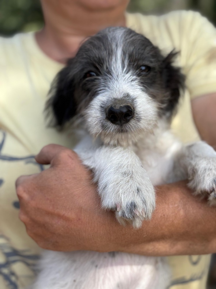 Max