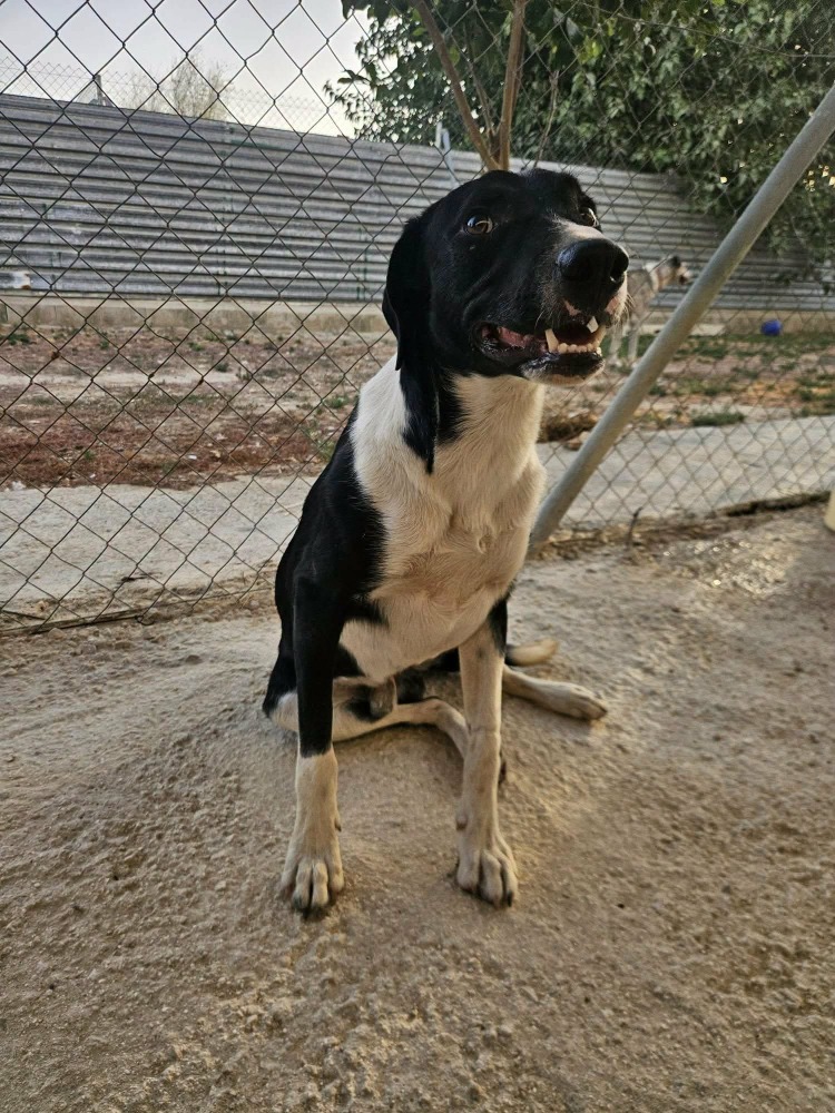 Tux RP