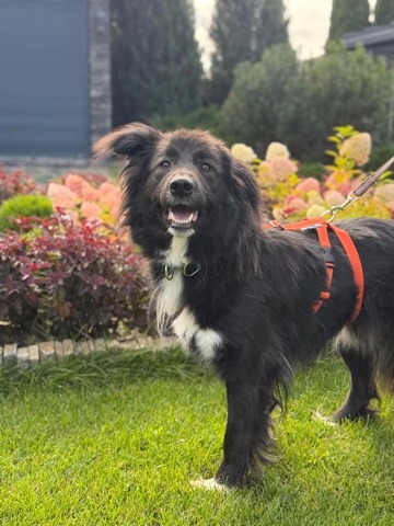 Micky favoriet van allen!