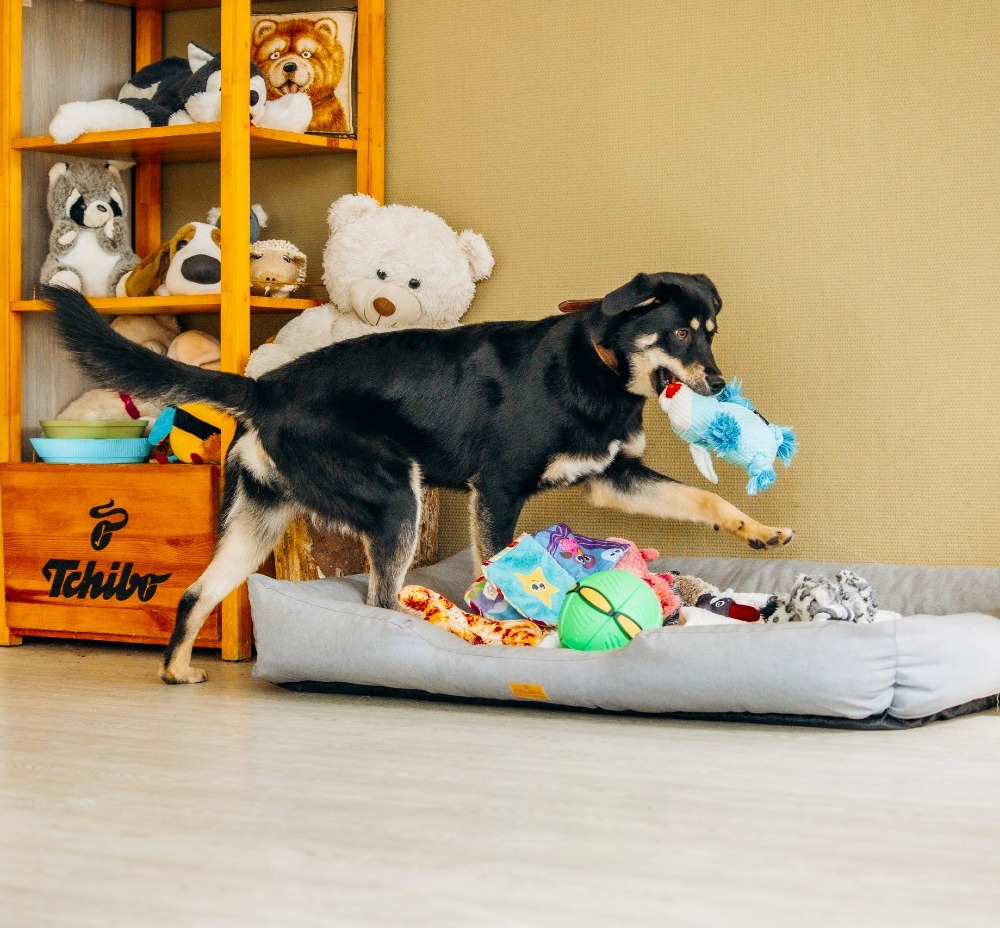 Lilu – zacht teddybeertje