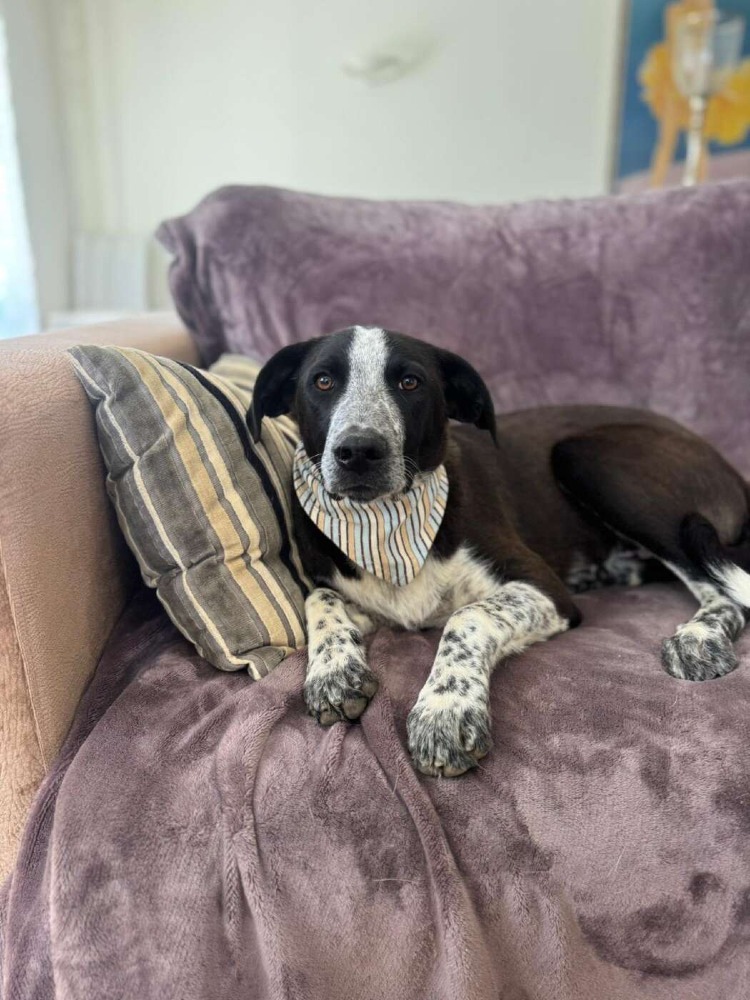 Ben