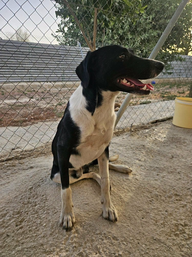 Tux RP