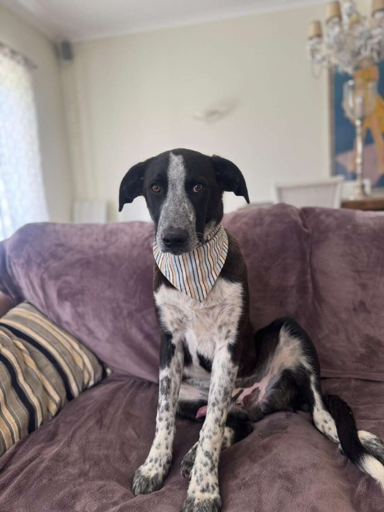Ben