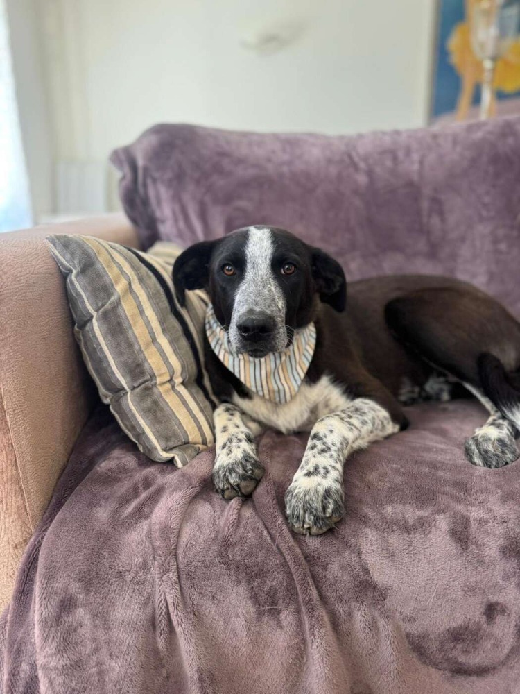 Ben