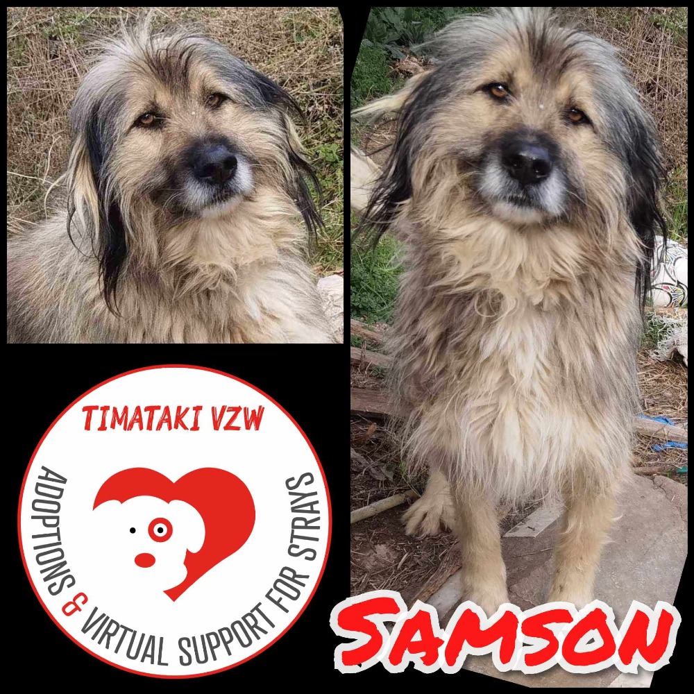 Samson