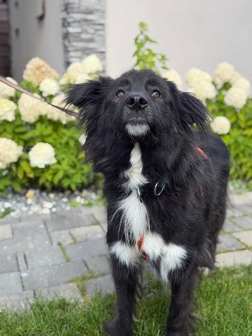 Micky favoriet van allen!