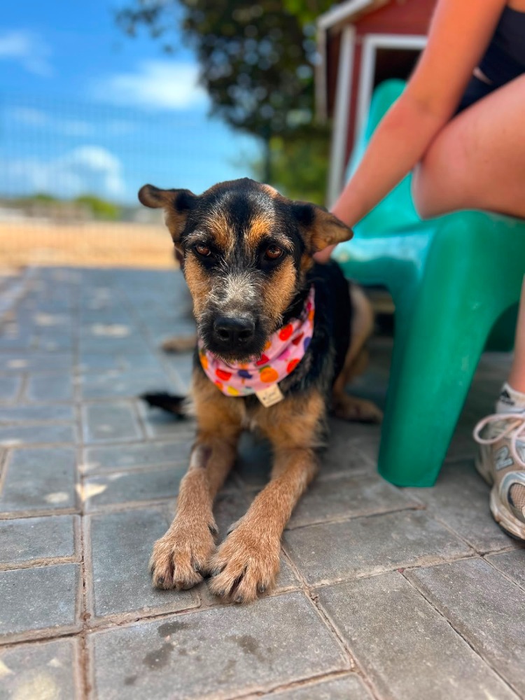 Greta