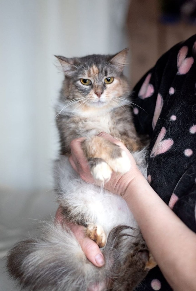 Sophie