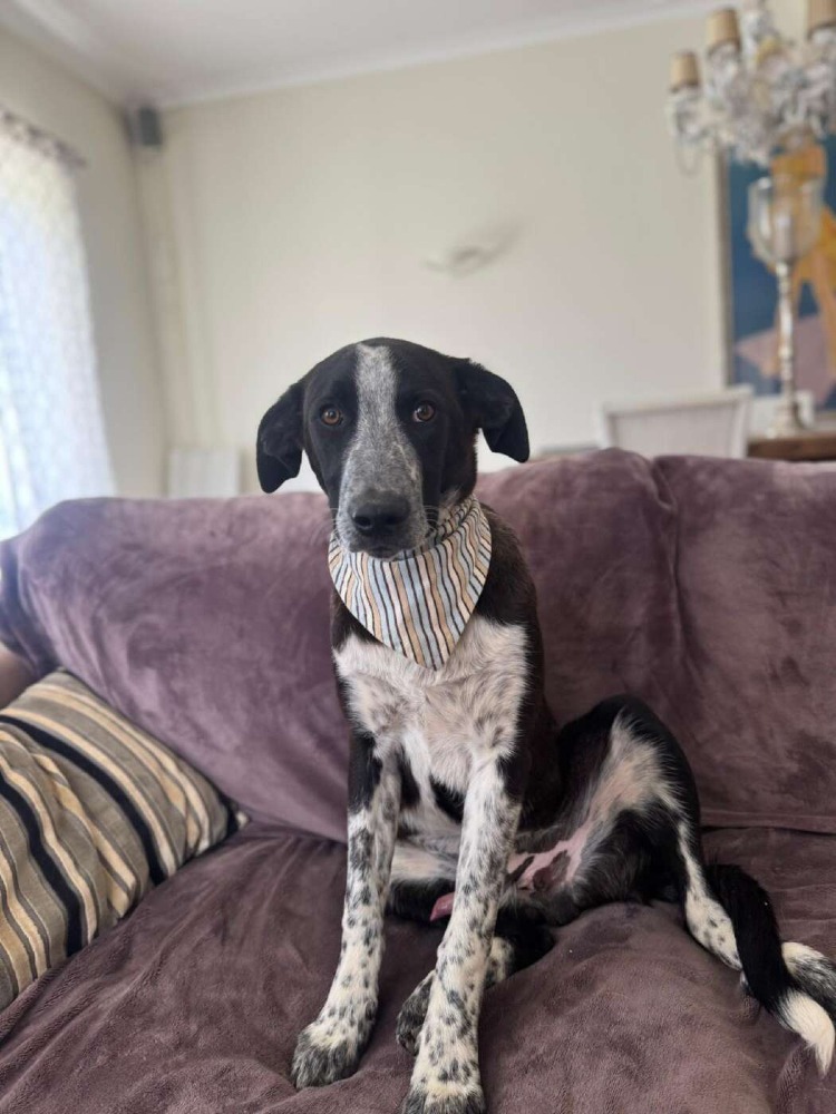 Ben