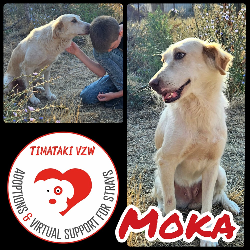 Moka