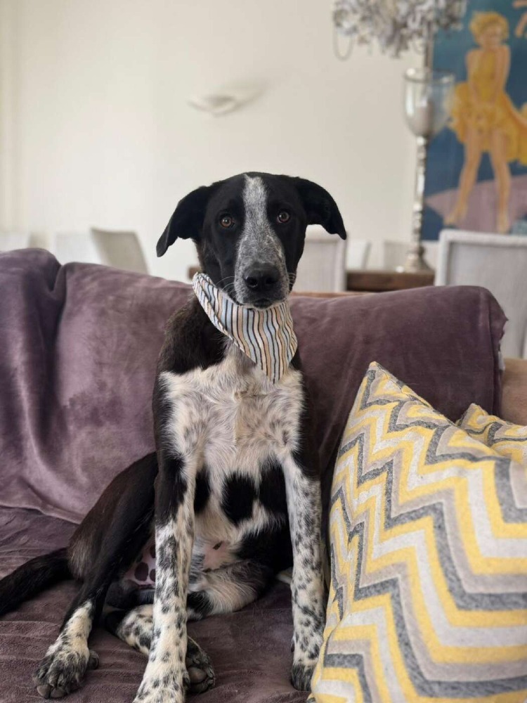 Ben