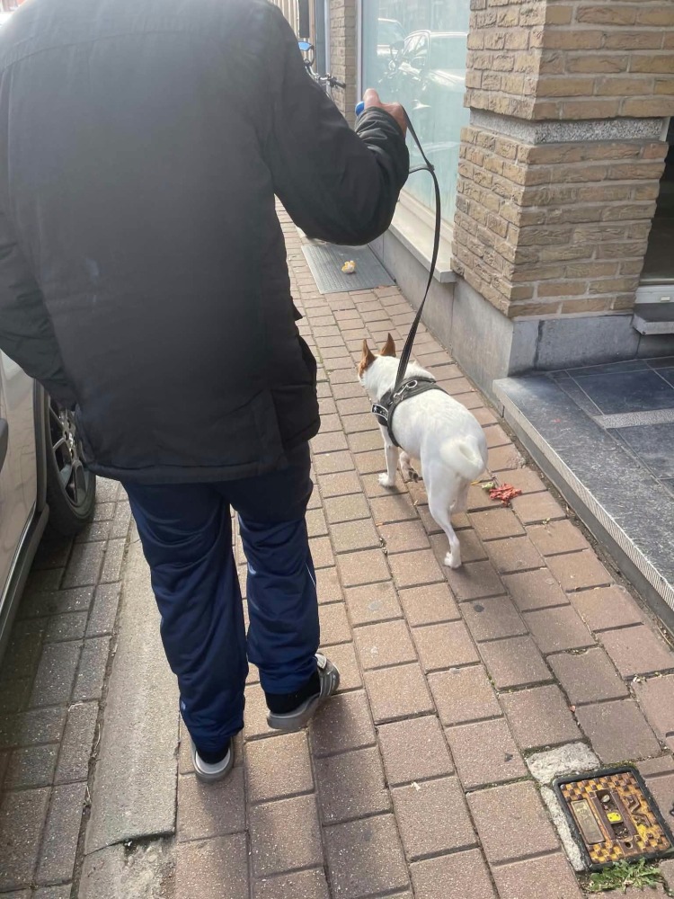 Evi in België DRINGEND