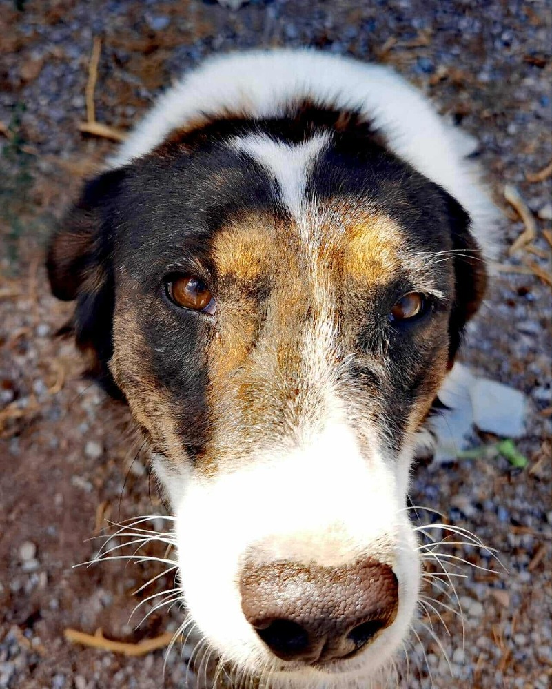 Rita