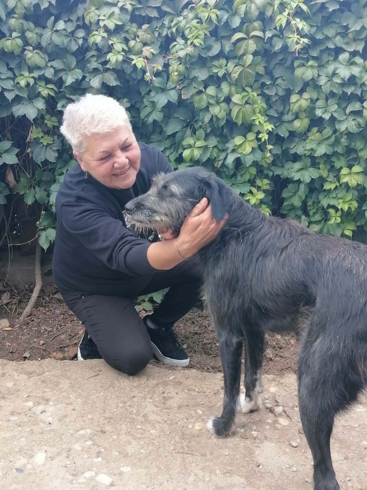 Xena