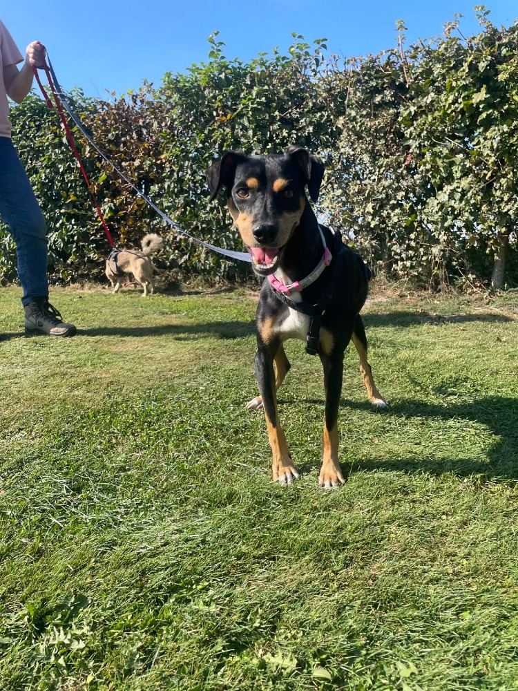 Max