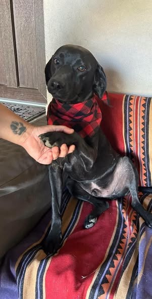 Ben
