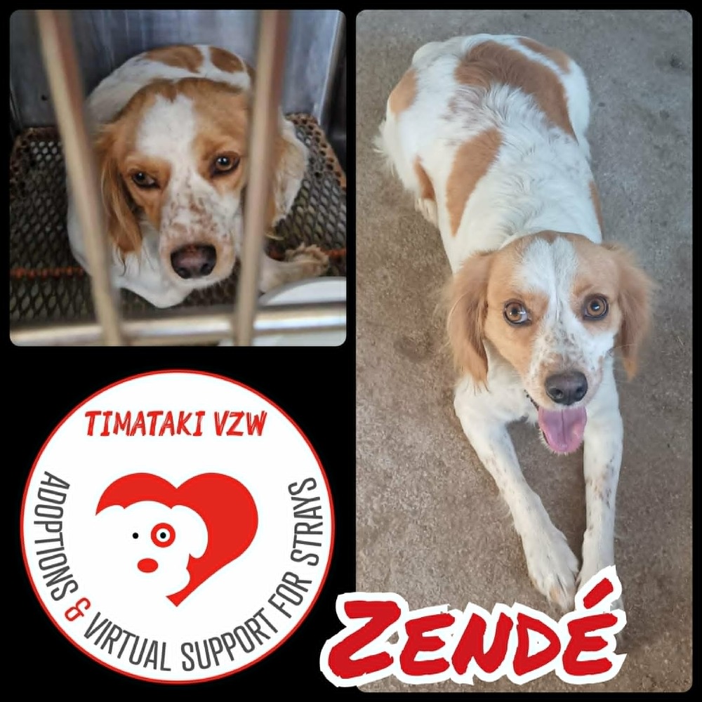Zendé