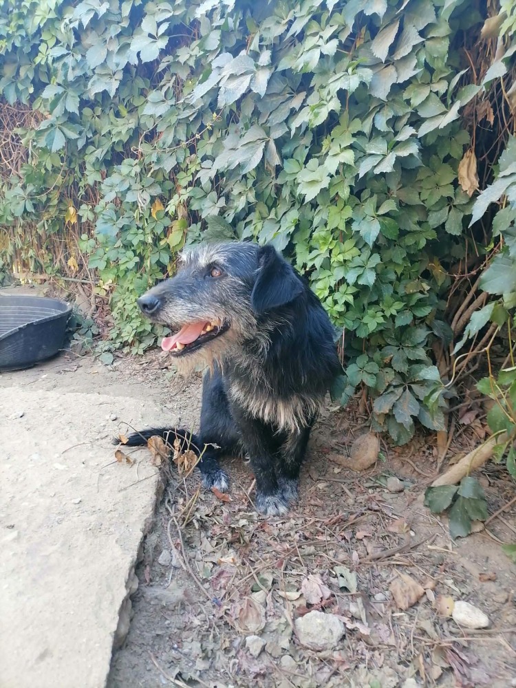 Jax