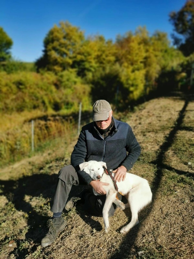 Lumi