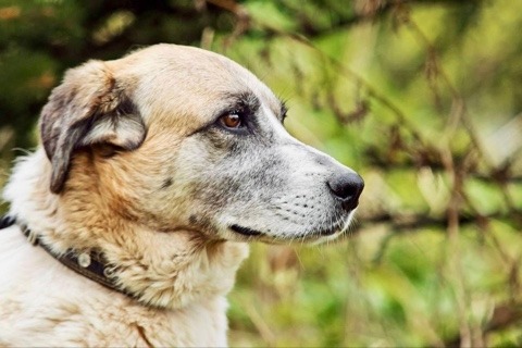 Sabrina is zacht zonnetje
