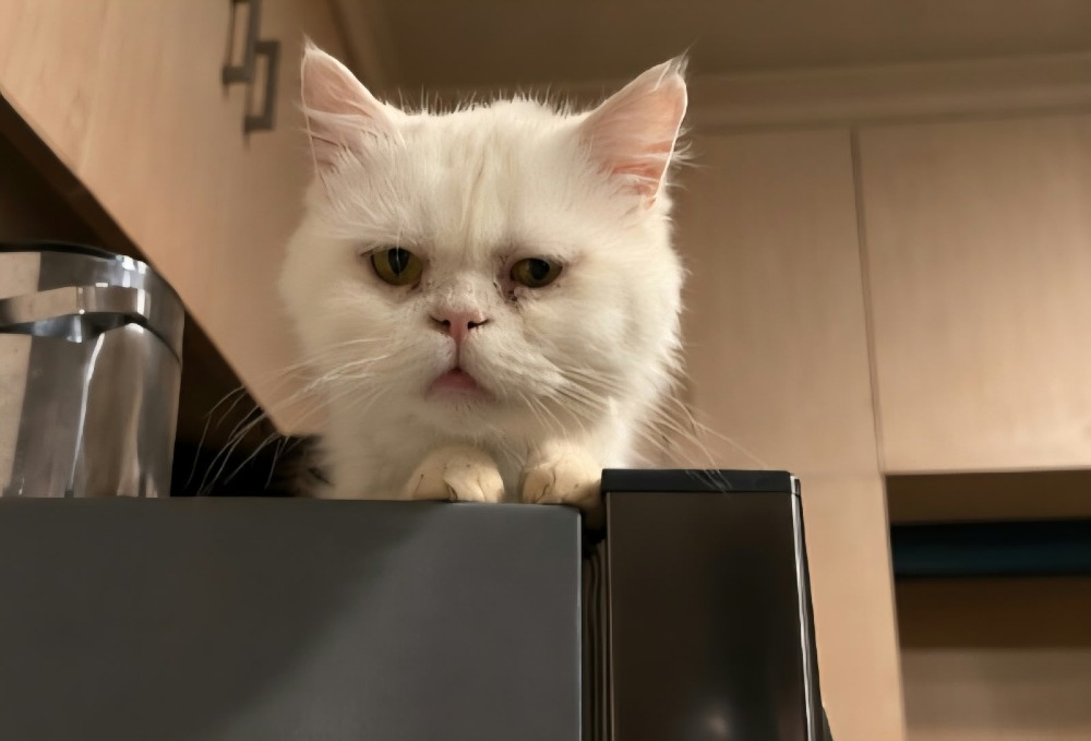 Sam