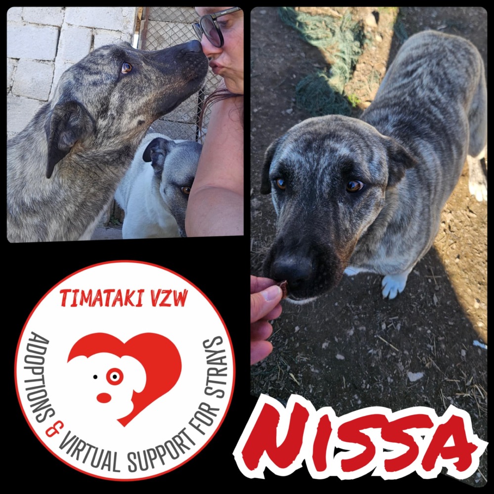 Nissa