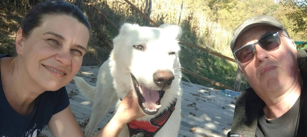 Lumi
