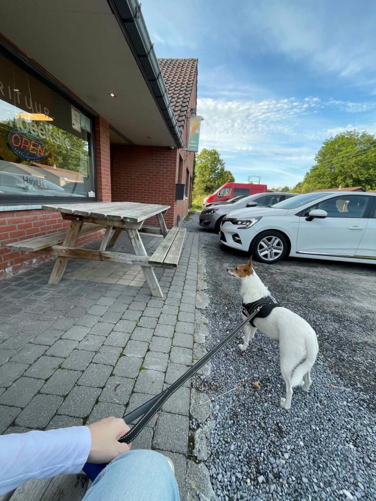 Evi in België DRINGEND