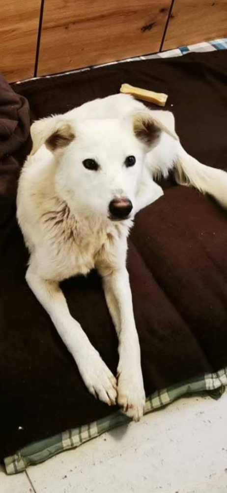 Lumi
