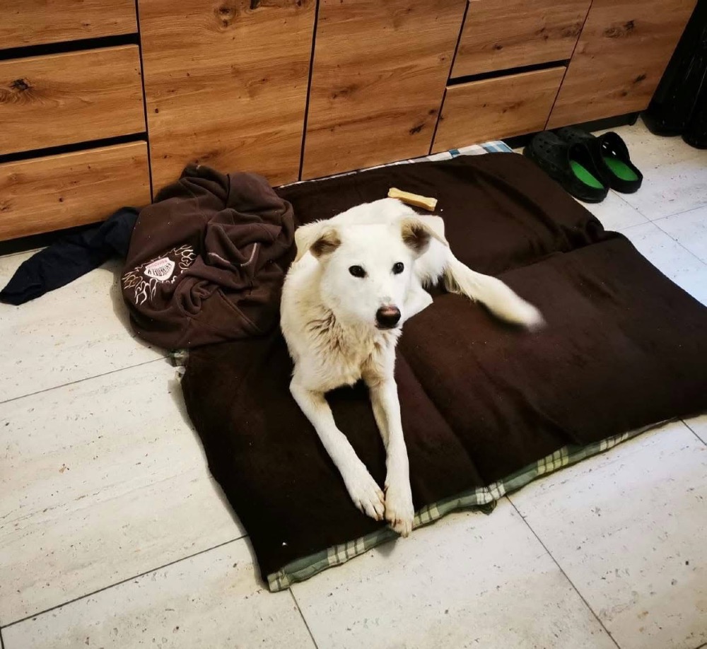 Lumi