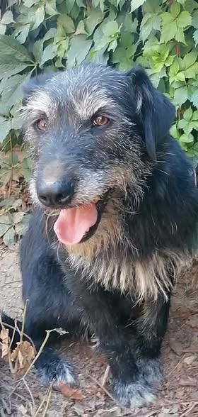 Jax
