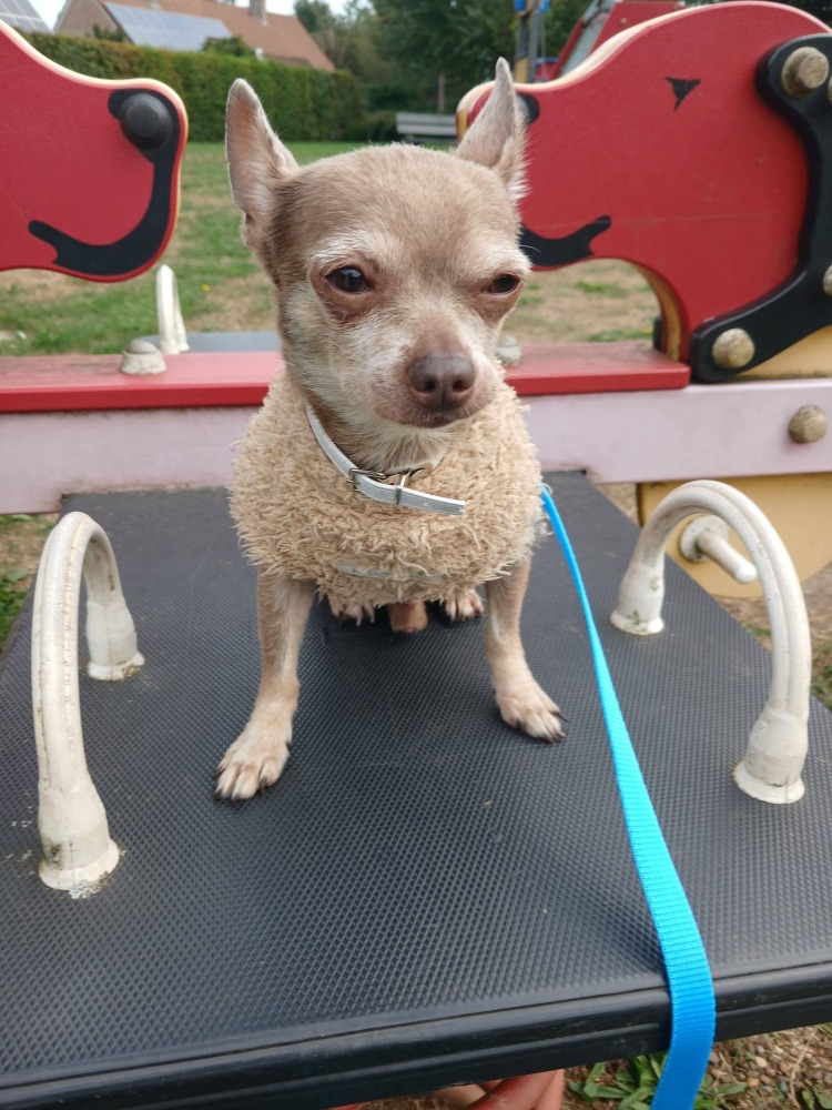 Spyki