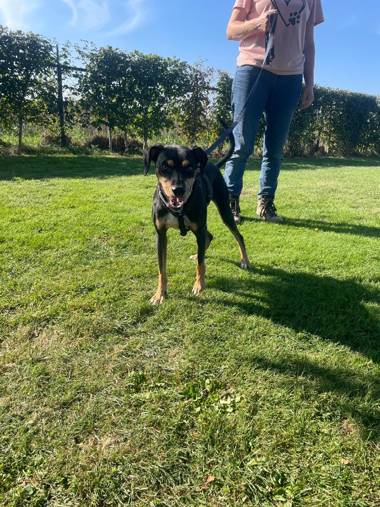 Max