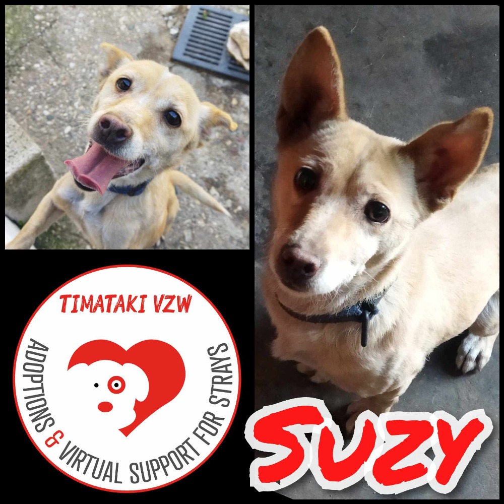 Suzy