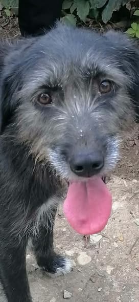 Xena