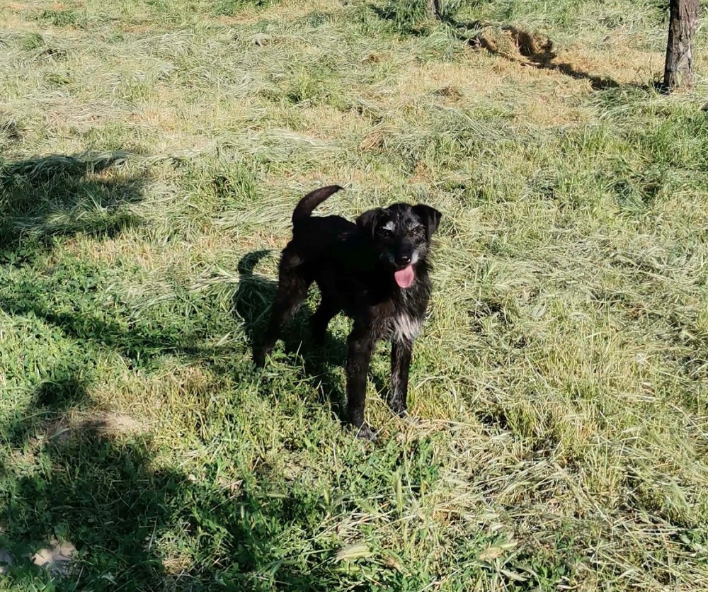 Jax