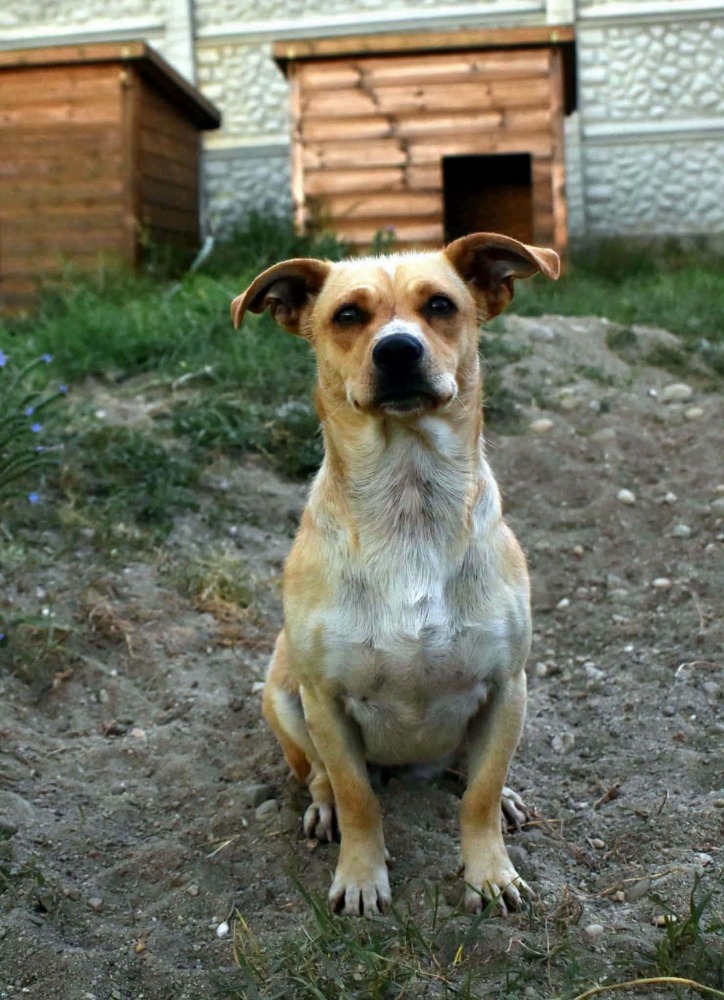Charlize