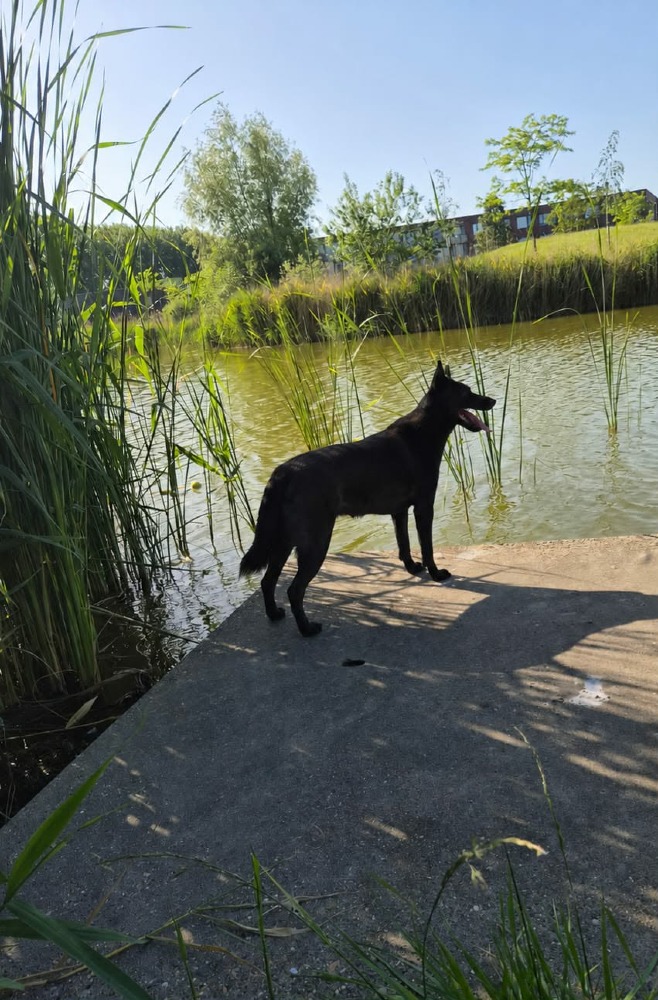 Perla Nera een pareltje