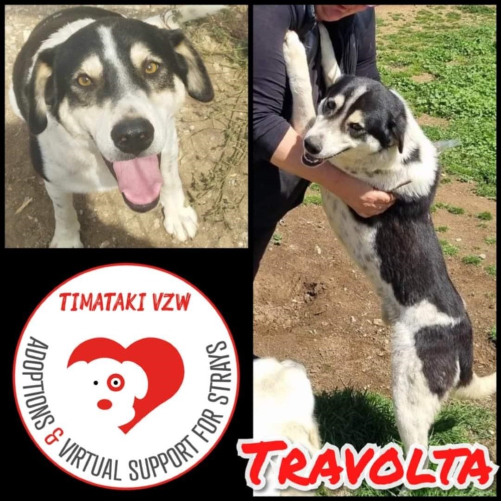Travolta
