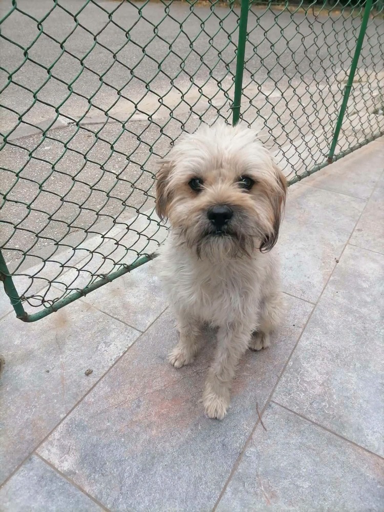 Ken