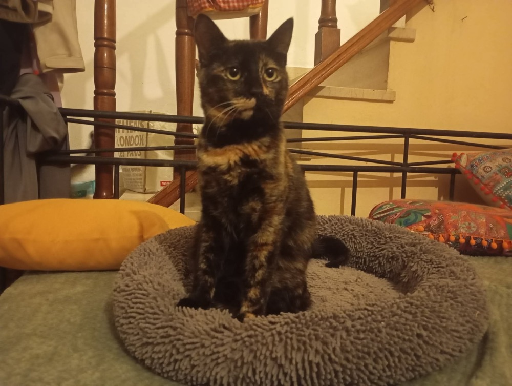 Eva