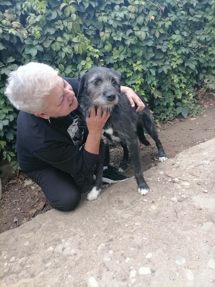 Xena