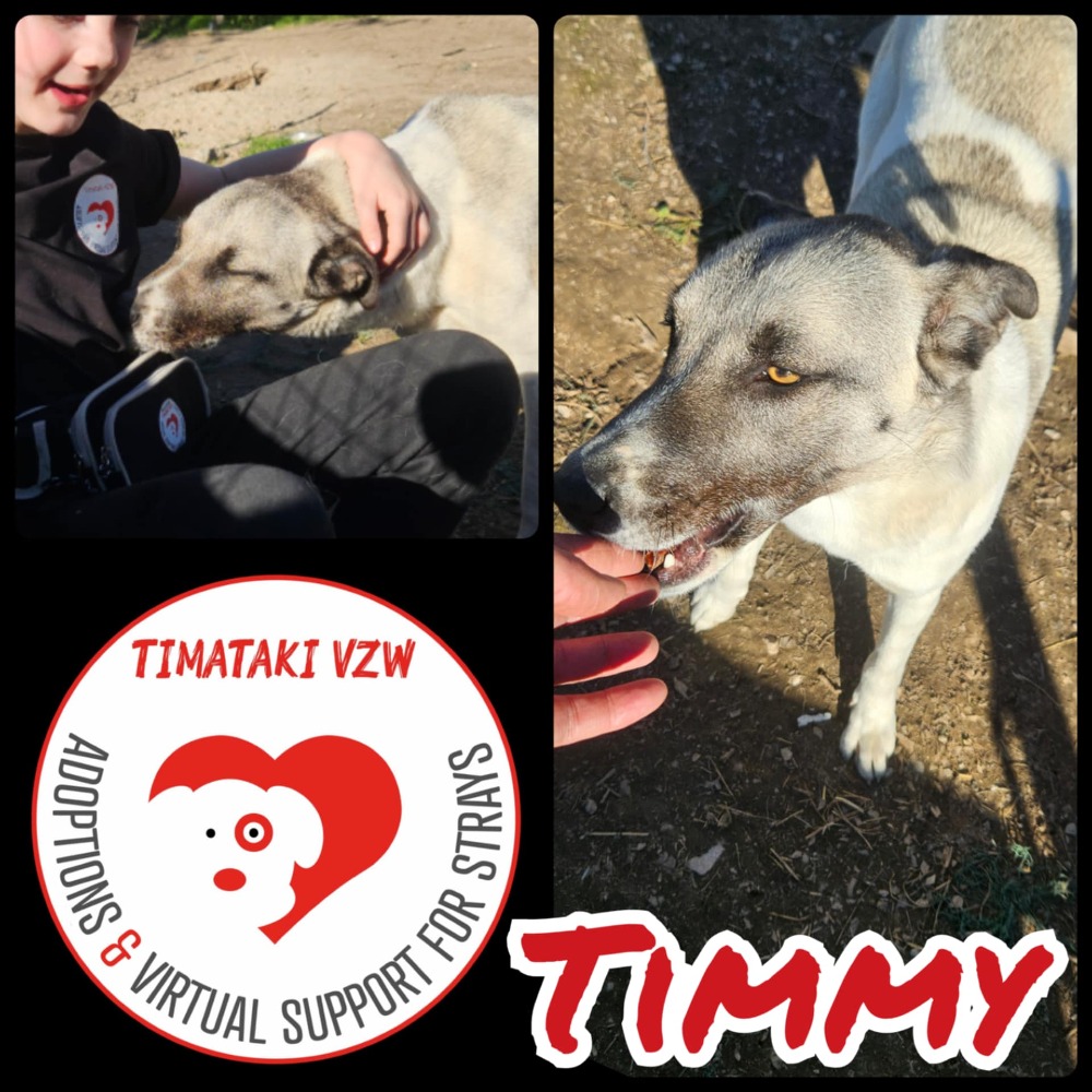 Timmy