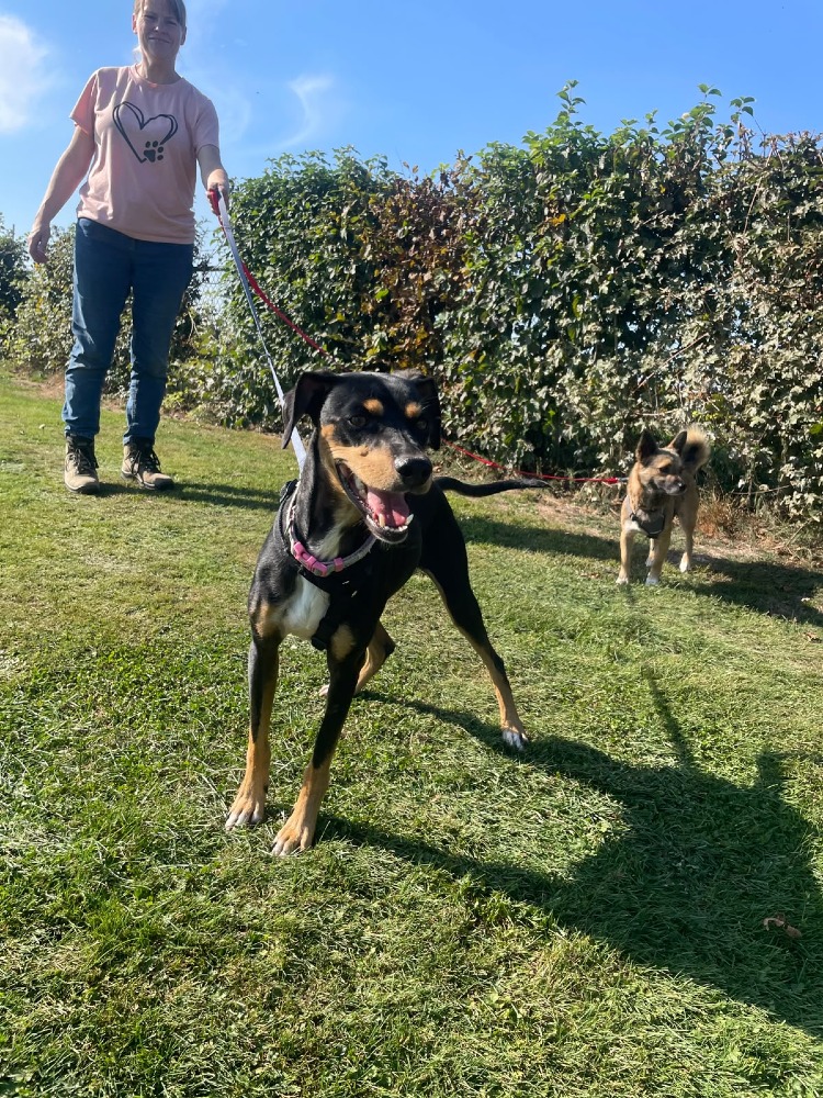Max