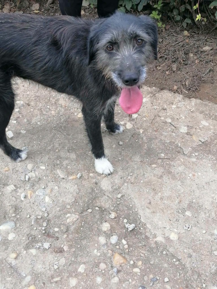 Xena